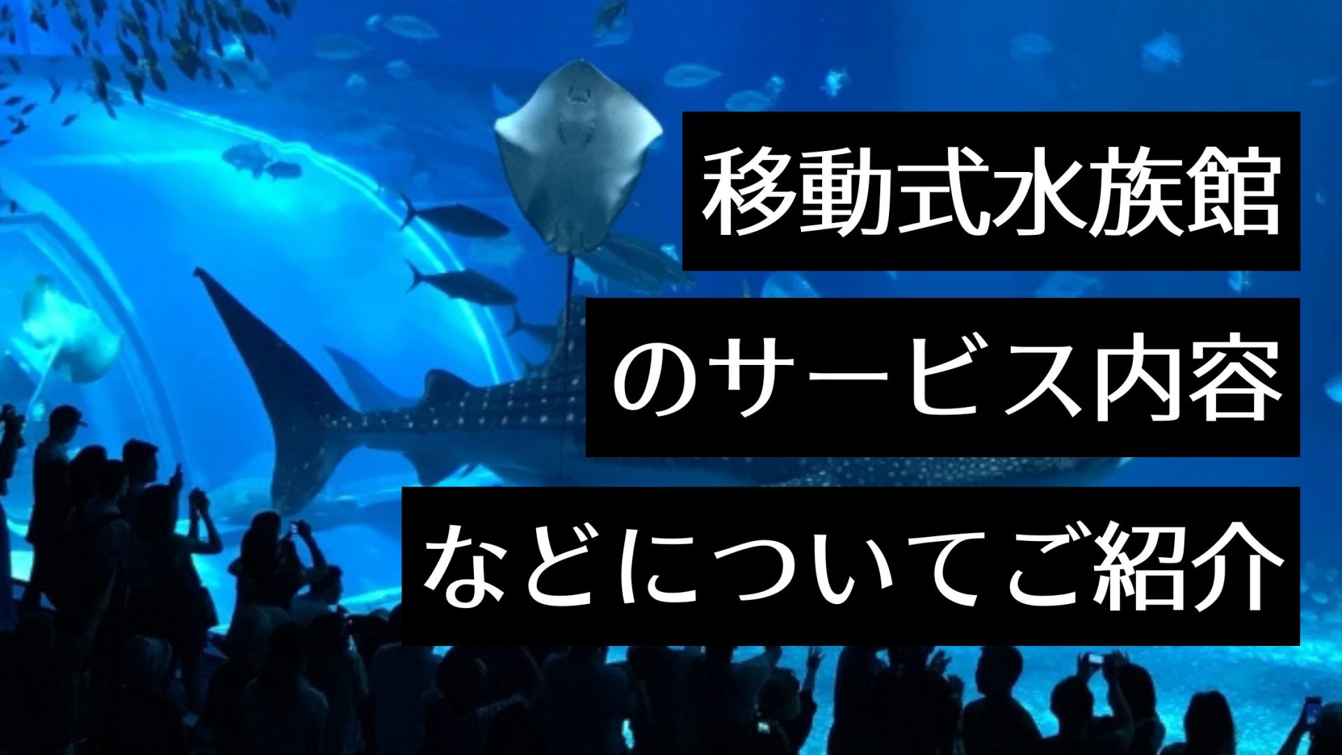 移動式水族館で保育園やイベント・施設に生き物と水槽が出張！全国のサービスも紹介！